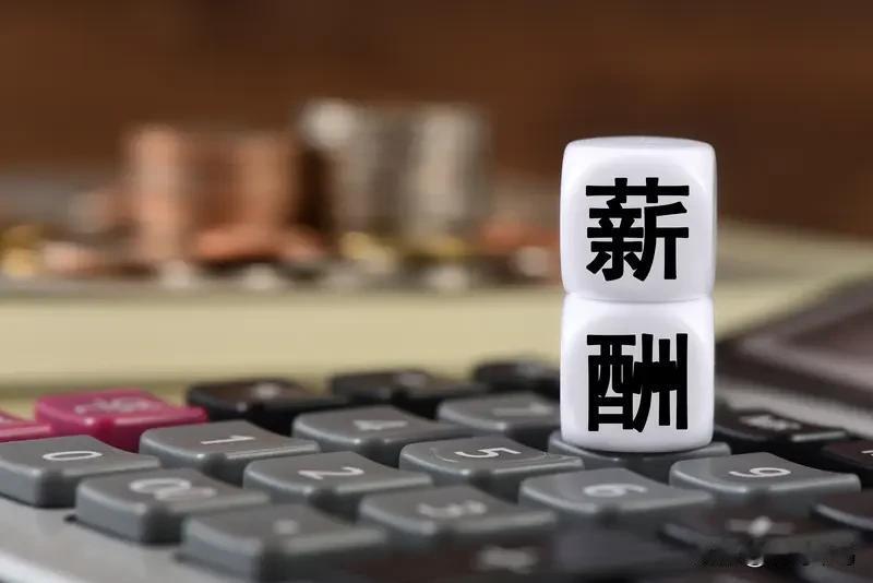 40岁的公务员，干了十几年工龄，到手月薪基本都能稳定在七八千。作为体制内从业者
