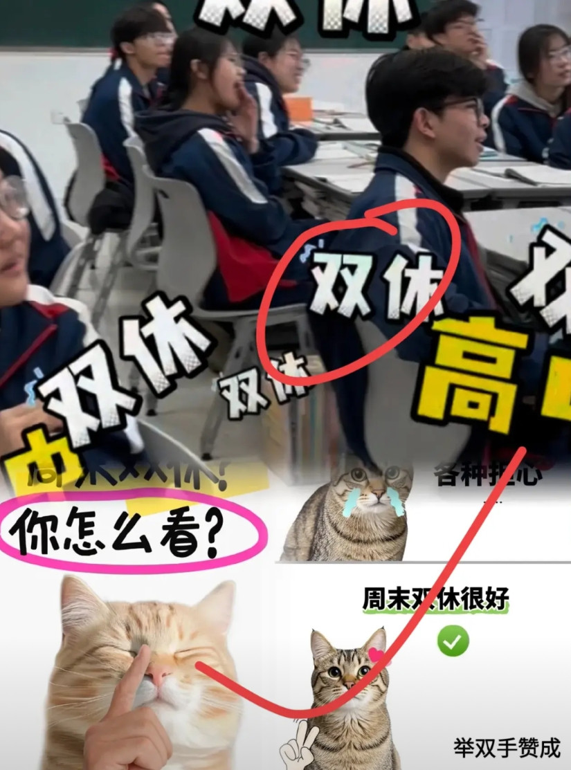 一觉醒来教育局此次可是动真格的了从本周开始，所有中小学都必须严格落实双休