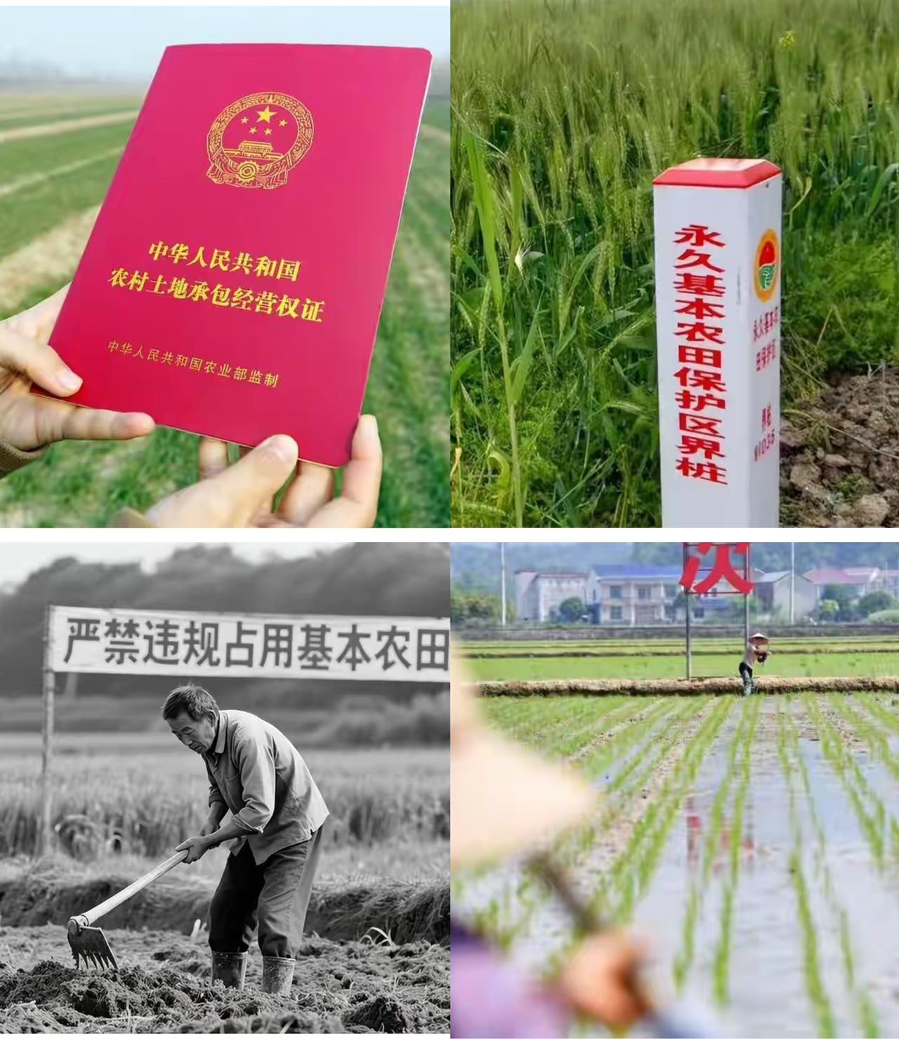 农村的朋友们注意啦！国家又出台大政策了！10月1日起，《永久基本农田保护红线管