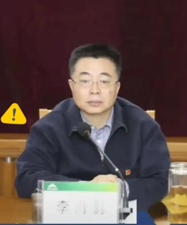 业内公认“镍钴之子”！深耕行业数十年，退休仅一年就被查，原因引人深思！一