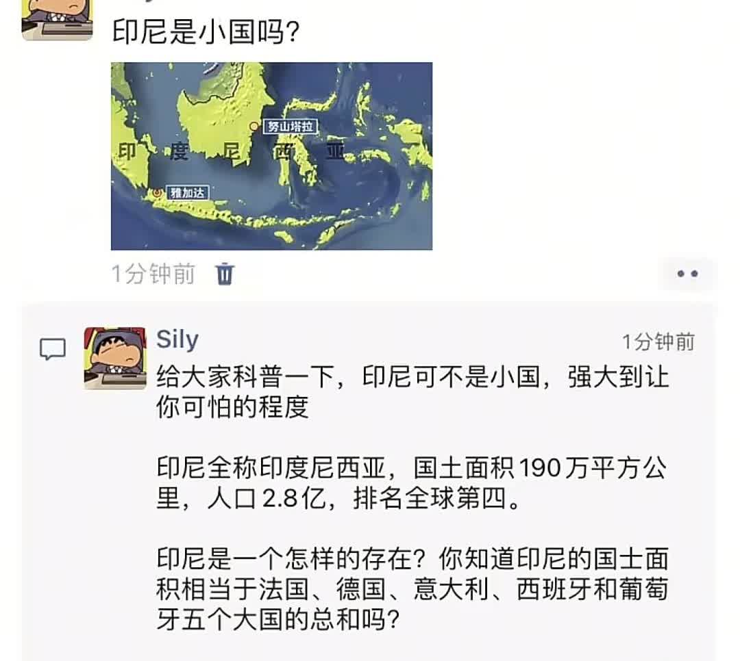 揭秘印尼：大国的误解与真相