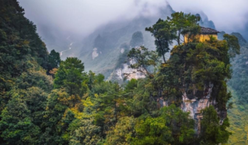 为什么禁止进入神农架深处？一位60多岁的巡山员告诉我：别看神农架拥有大量高等植物