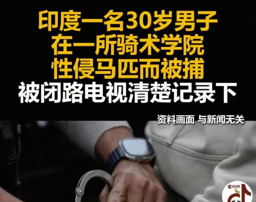 我调侃说印度是一个很抽象的国家。这不，素材又来了。据报道，一名印度男子性侵母马被