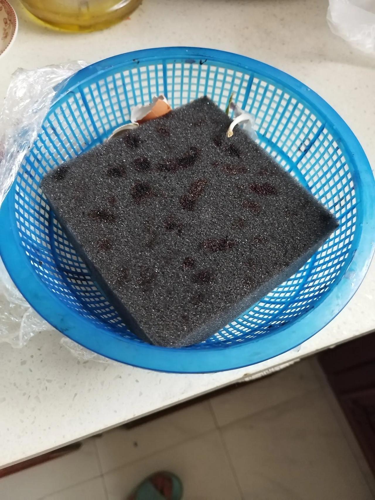 今天买了一盆桑椹，12.8一斤，回来一看，盆里只有上边一层，下边垫的很厚一块大海