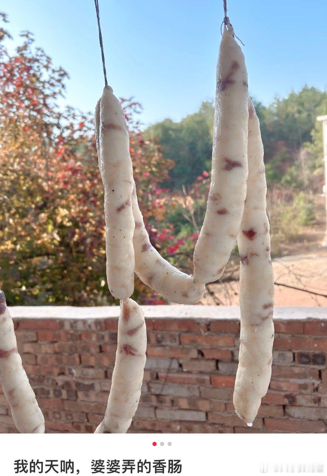 我的天呐，这是腊肠吗？