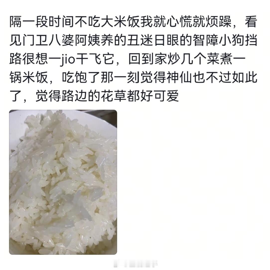 人的底层代码其实特别简单🙌​​​