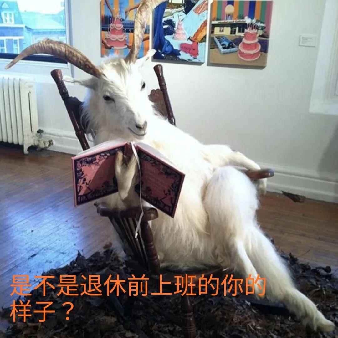 还有2年就该退休了，真没想到，现在的我也成了我曾经讨厌的样子：上下班按时打卡、拒