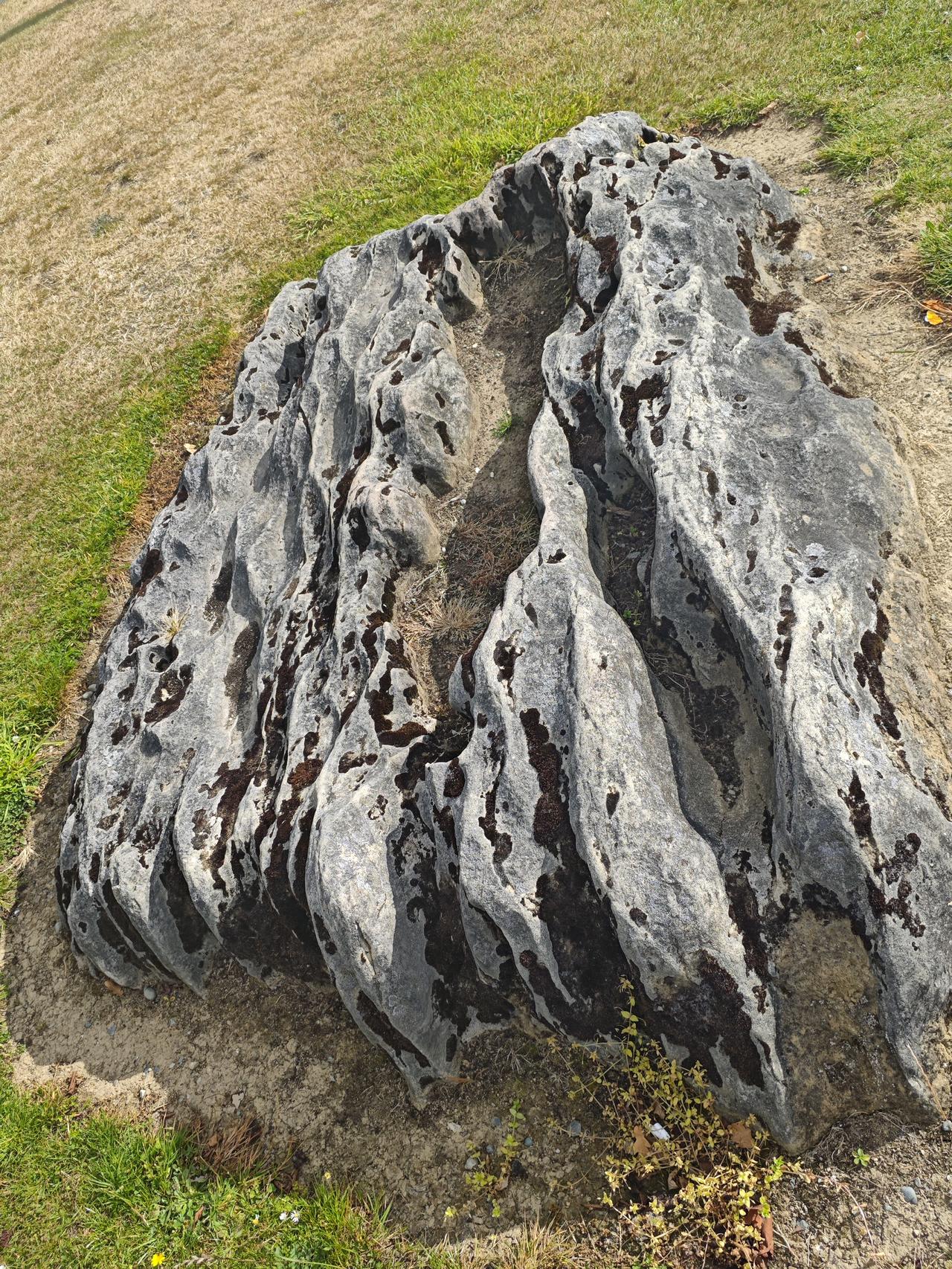 来到蒂阿瑙蒂阿瑙是南岛南部著名的度假小镇，位于蒂阿瑙湖畔，也是进入峡湾国家公