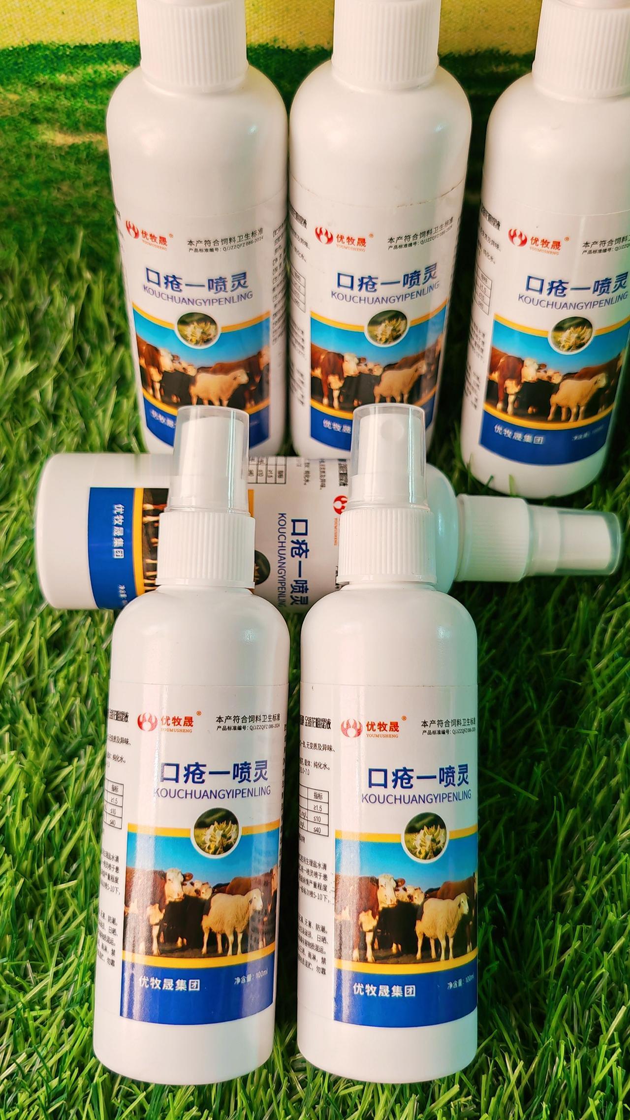 养羊人牛羊养殖农村养羊