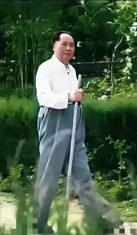 咱现在能舒舒服服过日子，心里最该念着的就是毛主席！这话真不是空的，当年国家难成那