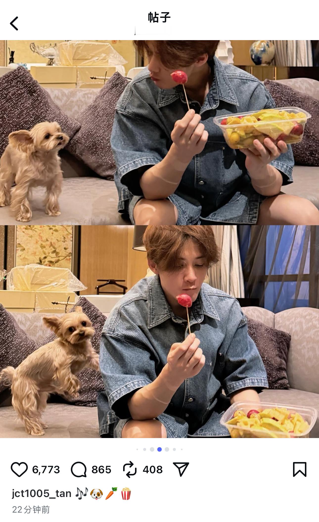 檀健次在IG更新了他和呆球的幸福日常好可爱的文案www🎶🐶🥕🍿好可爱的?