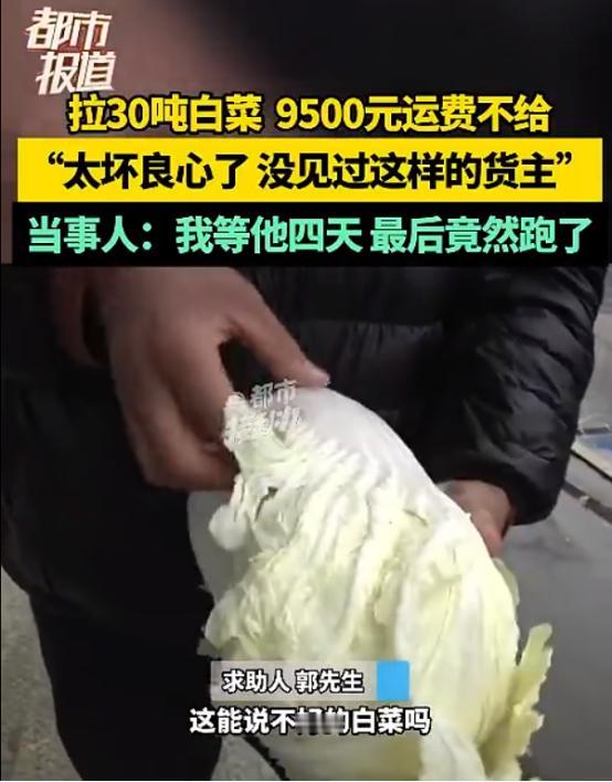 “太坏良心了！”一货车司机连夜帮人从内蒙巴彦淖尔临河拉了30多吨大白菜到开封通许