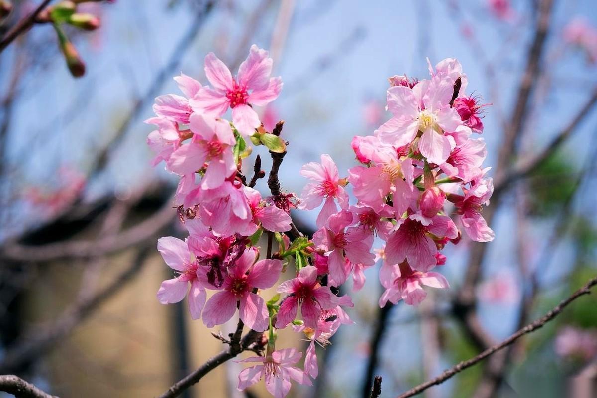 就为三万块钱，人直接被打进了医院。我朋友王平河赶到的时候，走廊里一股消毒水味儿