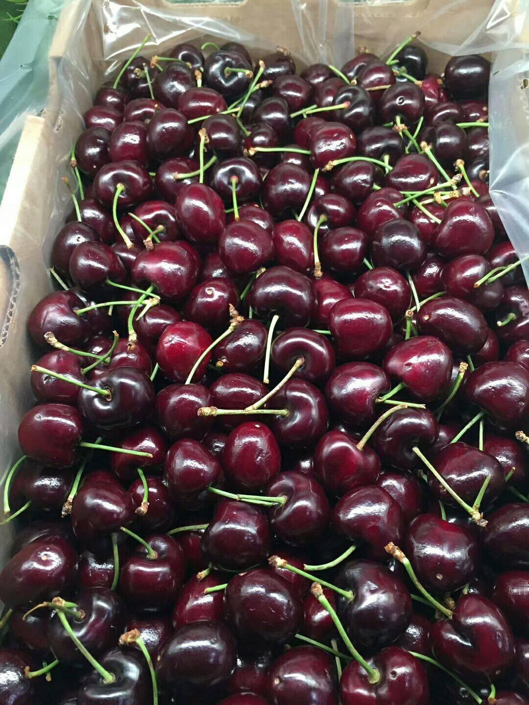 就算车厘子价格大幅下调了，那是相对往年，实际的价格还是不低的，总要十几二十多块钱