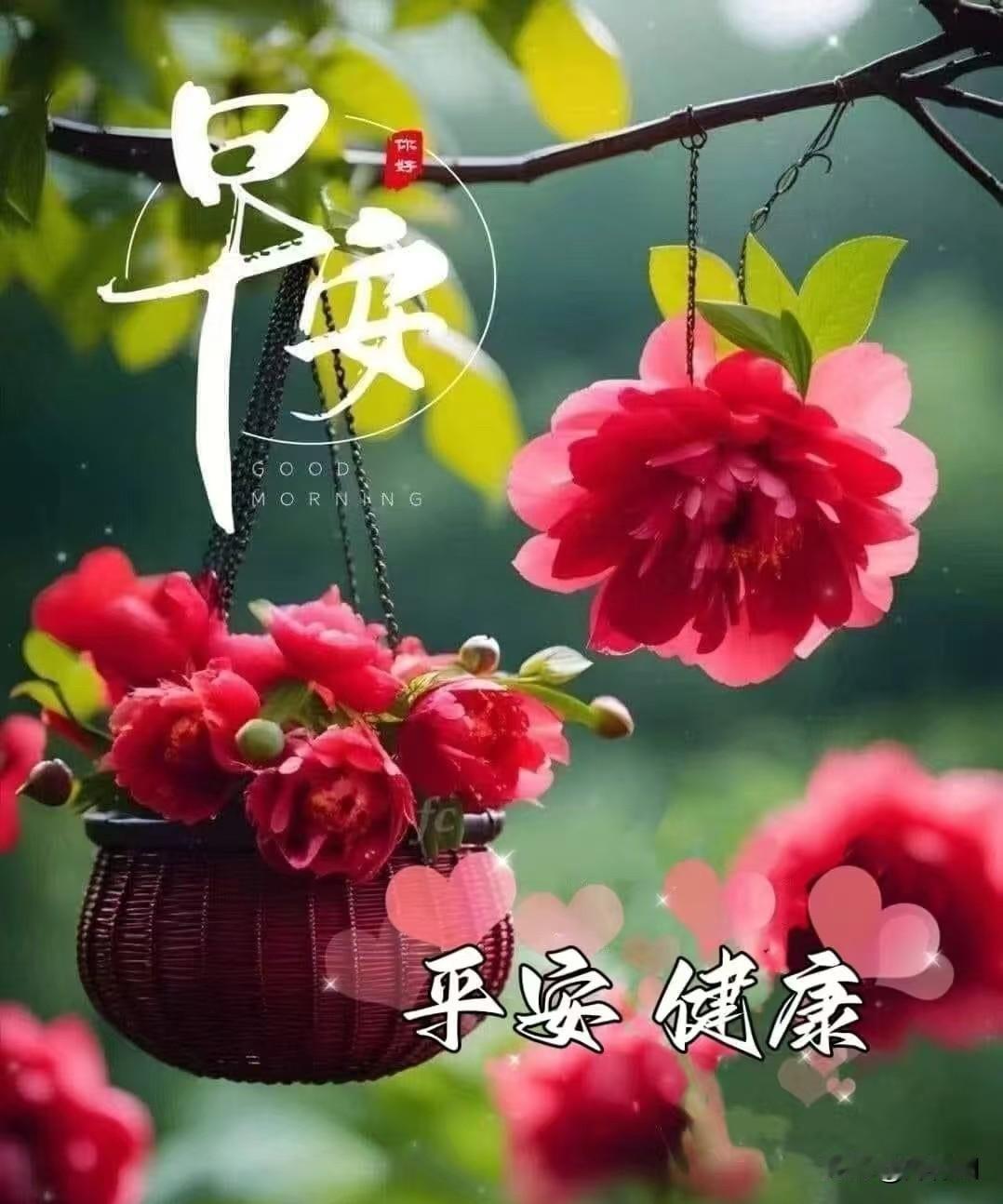 乐在心中，非因外物丰盈，而在心境澄明。晨起听鸟鸣，暮看云卷舒，粗茶淡饭亦甘甜。不
