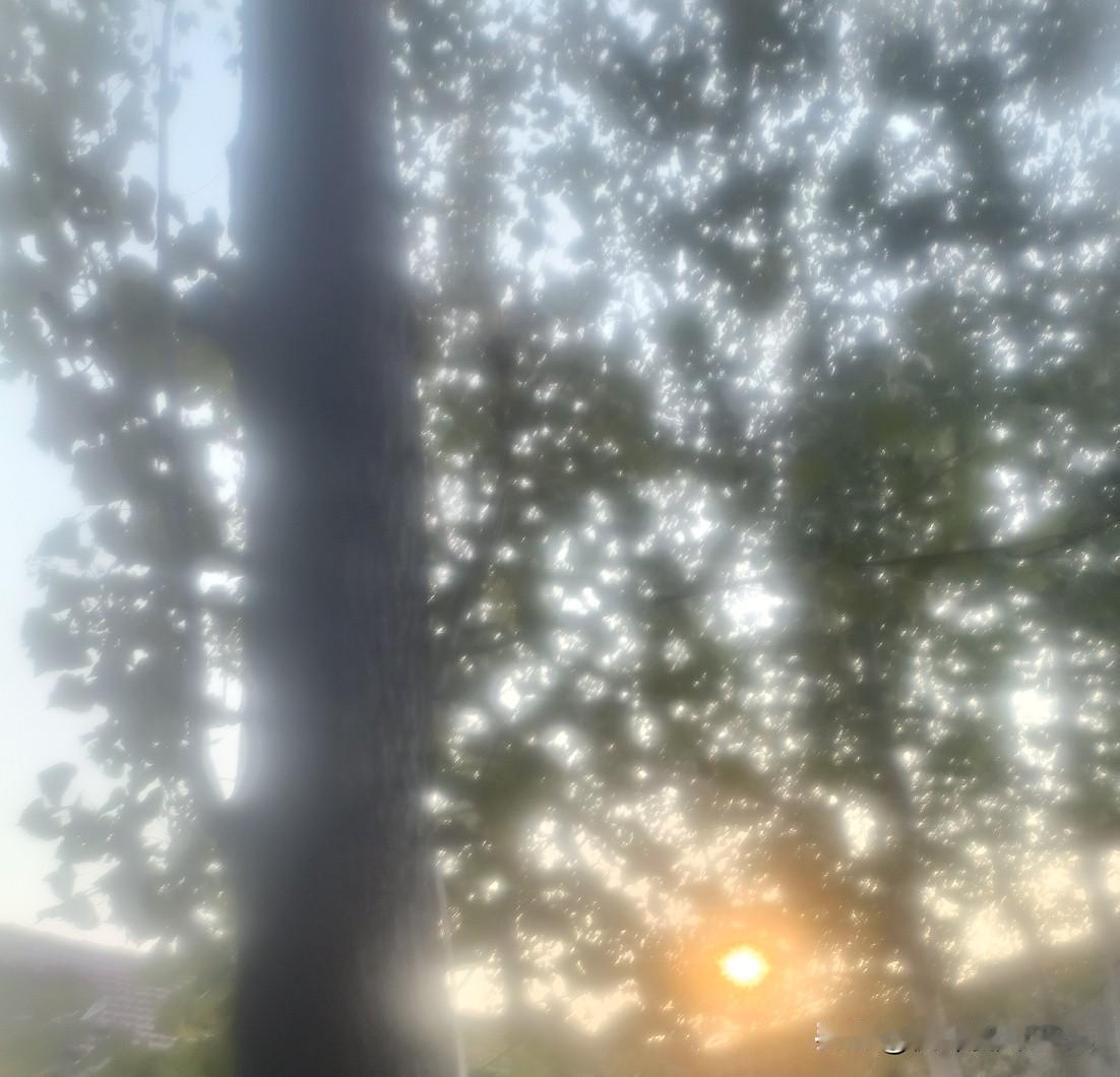 赢了!中美经贸交锋传来捷报,这三样东西是,我们的硬气之源这回,咱们可以踏踏实实松