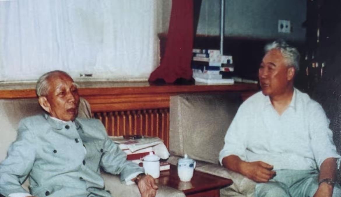 1991年7月6日，国家原副主席王震在家里亲切会见杨贵。此时距中央正式恢复杨贵副