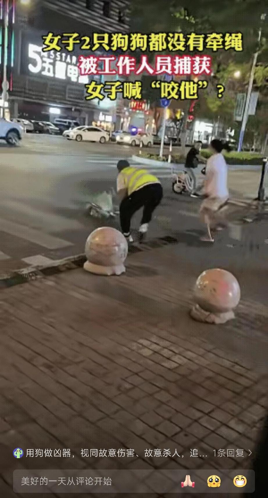 女子一句“咬他！”估计就没有了下一步的沟通。它可能到死都不明白，是它的主人把它给