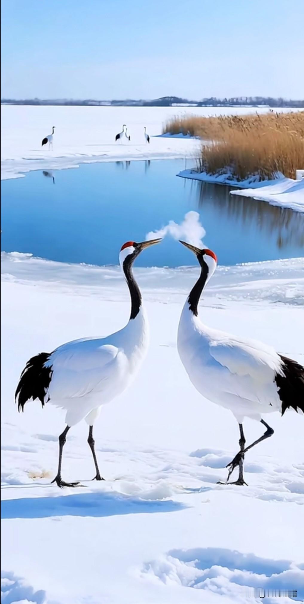 上联：冰天雪地送冬去，下联：山河焕彩迎新岁。下联：万物复苏迎春归。