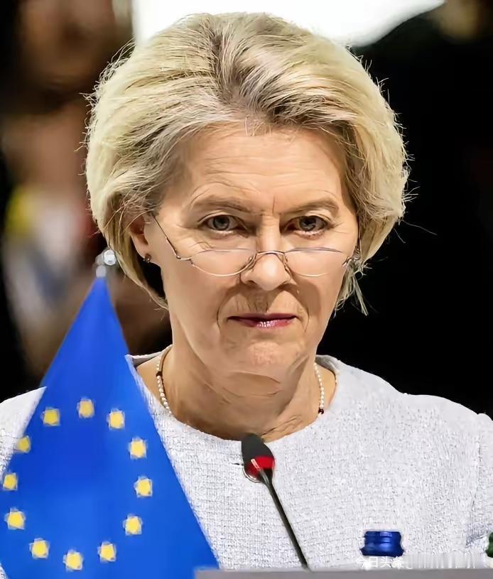 欧洲议会最近成了冯德莱恩的“公开吐槽大会”，各国议员轮番上阵怒怼，火力密集到堪称