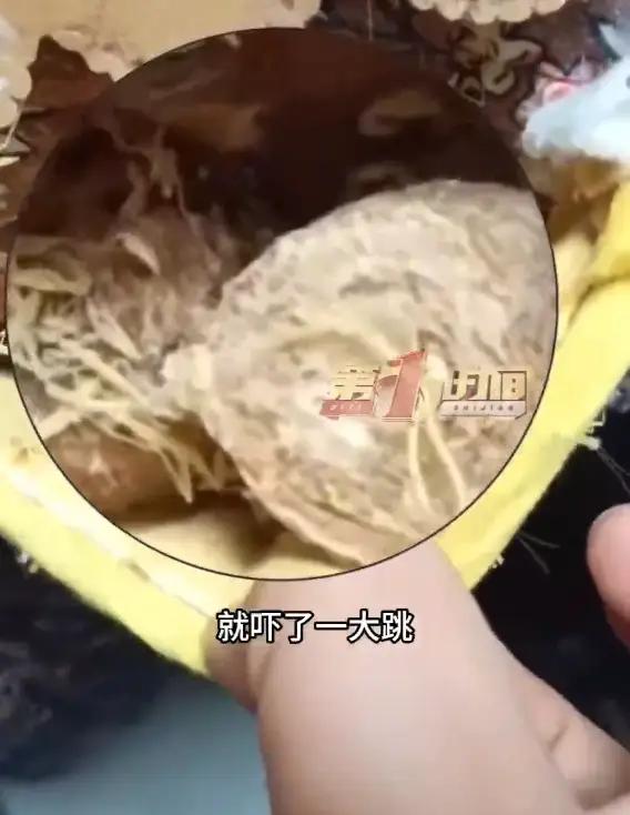 这满桌子螳螂，看到后头皮发麻。这在广西的桂林，一位老人，看到家中的孩子尿床，为