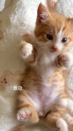 刷到这段视频觉得特别有意思，画面里的小奶猫睡得正安稳，主人拿着吸管轻轻滴了一滴羊