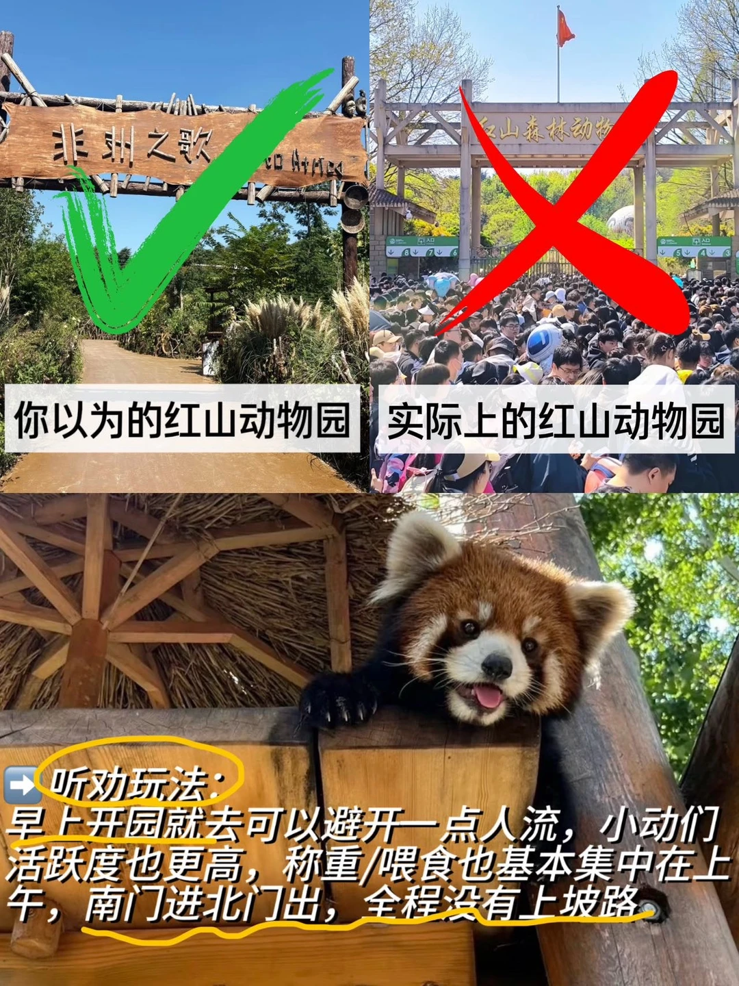 这就是南京现状……没来的听劝！！
