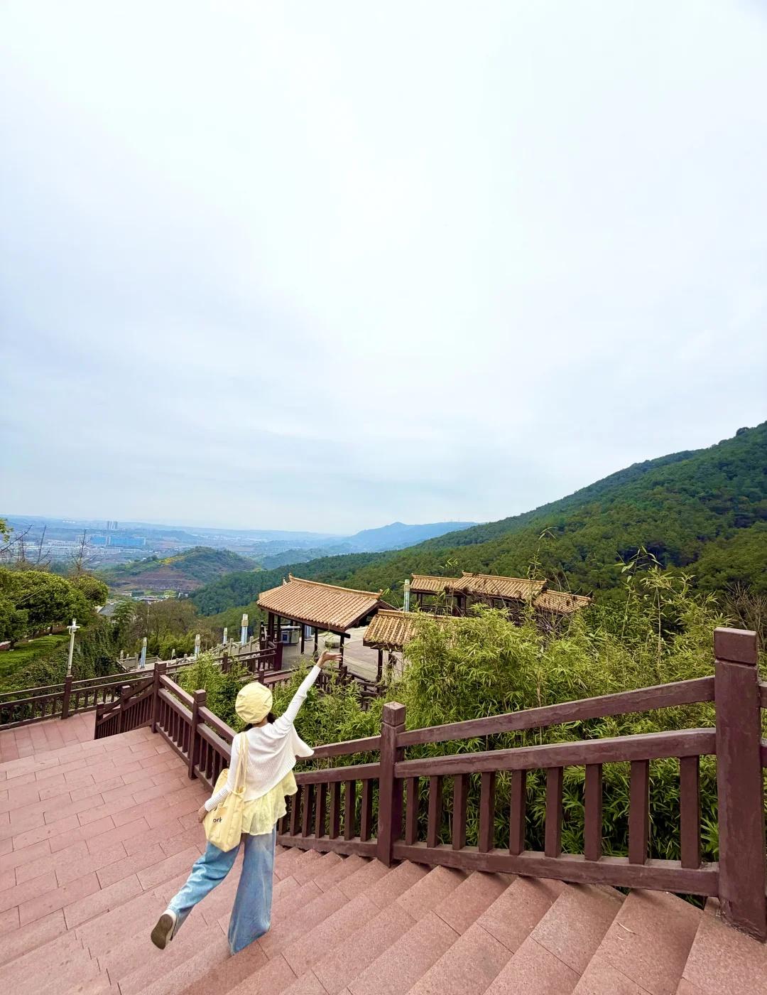 一起吗⁉️今天在重庆铁山坪徒步！✌️重庆铁山坪森林公园是重庆主城天然氧吧，森林