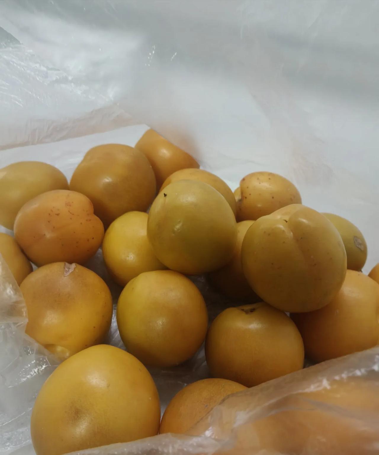 亲情关系李阿姨姐妹一大把，只有李阿姨上班。大家都感觉李阿姨有钱，都有充足的理由