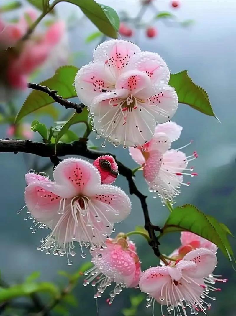 上联：默赏花开花含意，下联：闲听松涛松赖音，下联：慢吟竹韵竹传心。