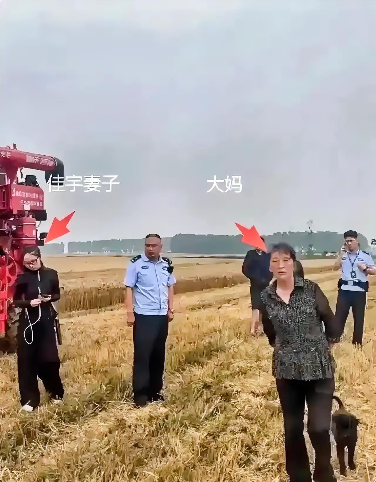 千里驰援帮收麦反倒拿不到工钱，荒唐的割四赔五，寒了所有热心人的善心竟然有这