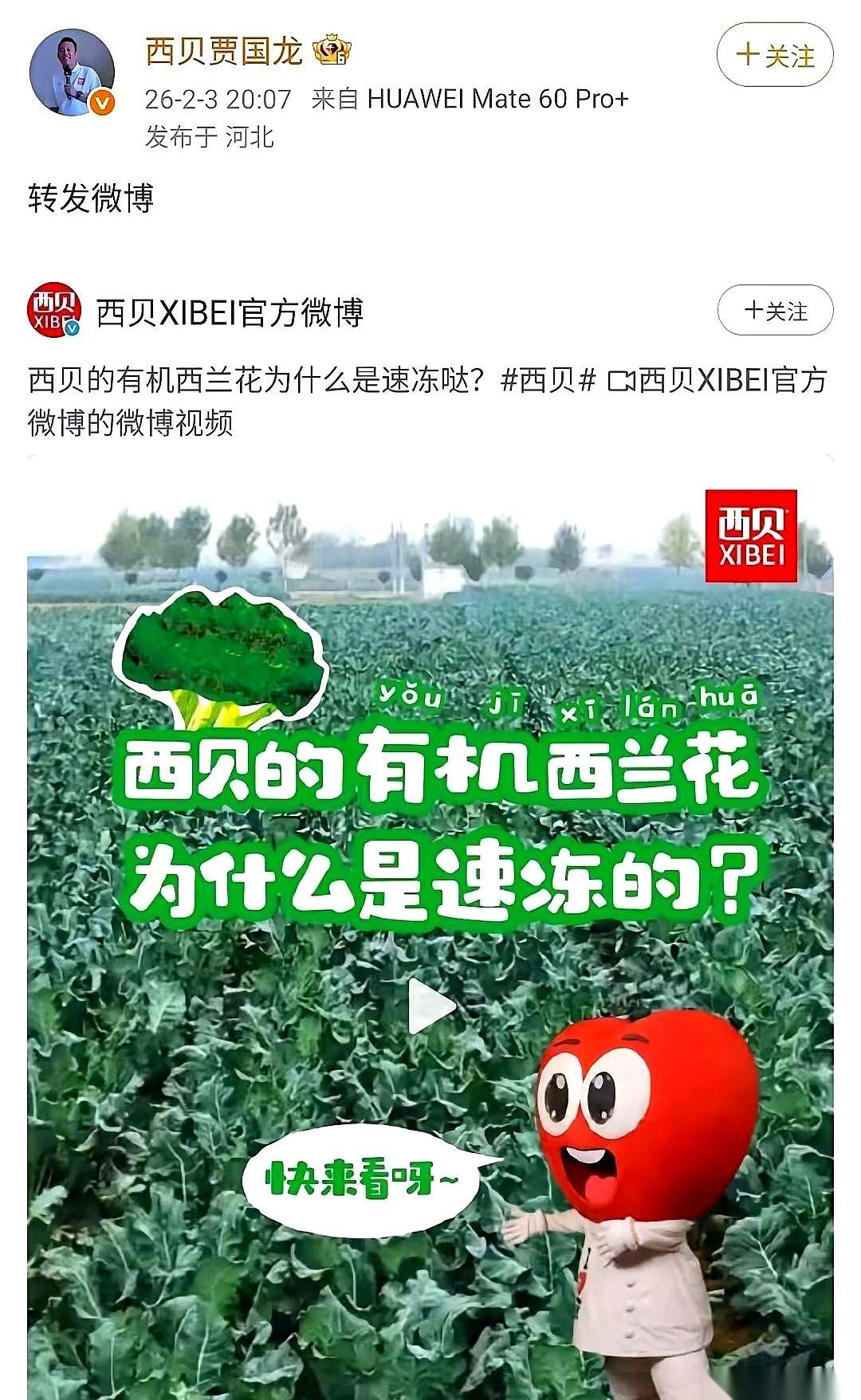 西贝老板那个劲儿，真的绝了。刚从小黑屋放出来，转身就跟一棵西兰花死磕上了。你