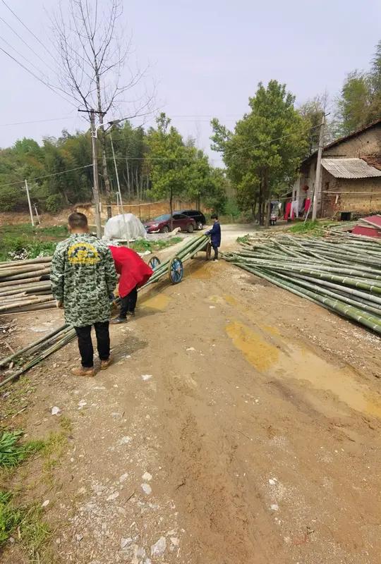 丈夫病亡两天后妻子也不幸离世留下一儿一女，妹妹：两人生前感情太好，我们会带好孩子