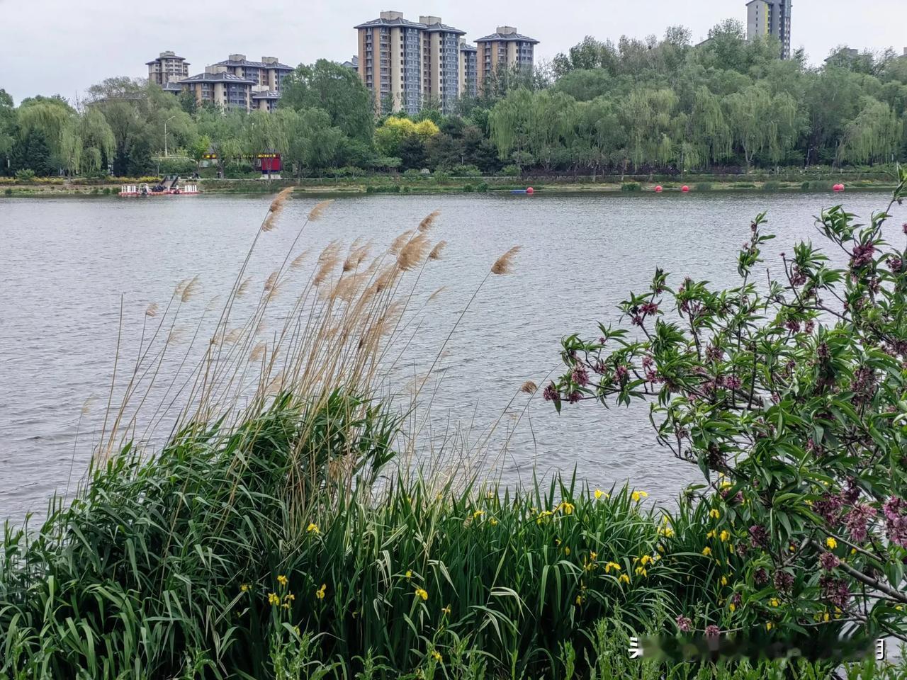 人生苦短，及时行乐大伯子的同学，三十几岁开始做生意，成为一个不大不小的老板，