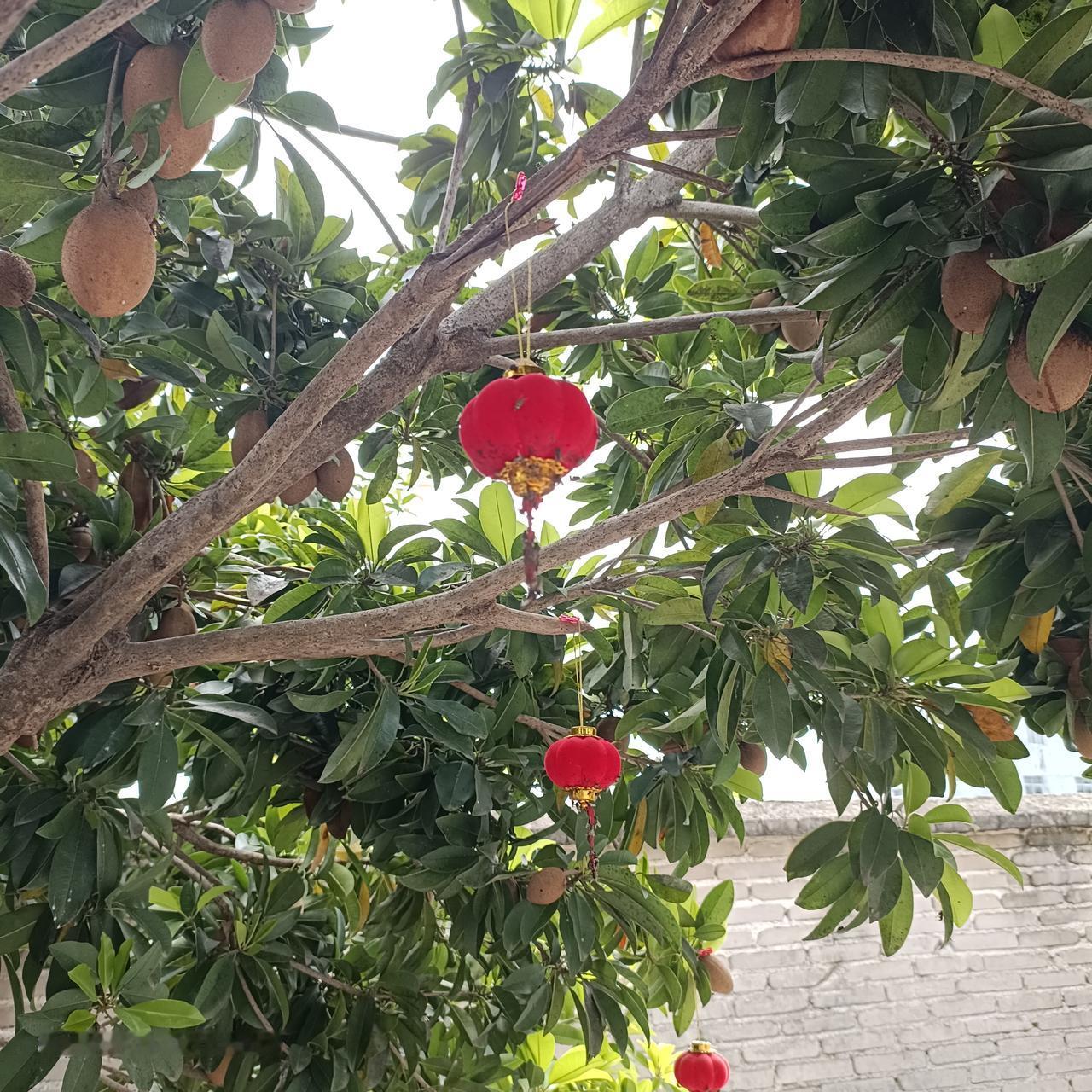 一位消化科医生说，“​瘦人之所以瘦，是因为她们最大的本事，是擅长搁置食物。