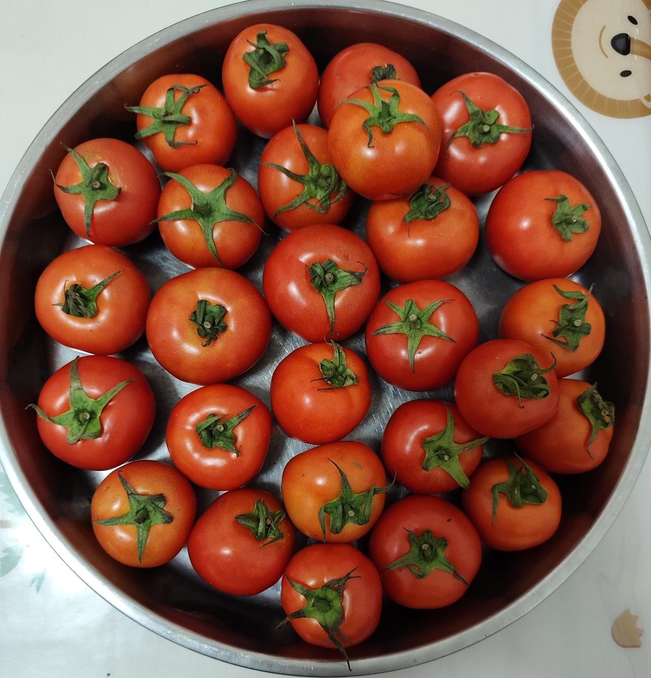 中午经过市场外面见到一个本地人摆地摊卖番茄，原本想买几个的，摆地摊的人说还没有吃