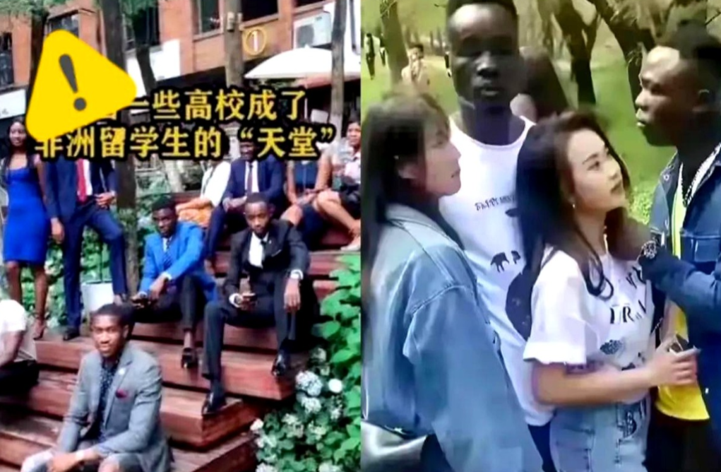 炸裂！为冲排名狂招留学生，华科却把本土学生“坑惨”了？老师上课先用法语讲一遍再
