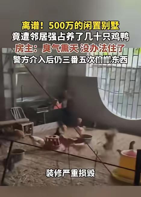 “脸都不要了！”福建一男子回老家祭祖，意外发现闲置多年的别墅里居然有动静，男子好