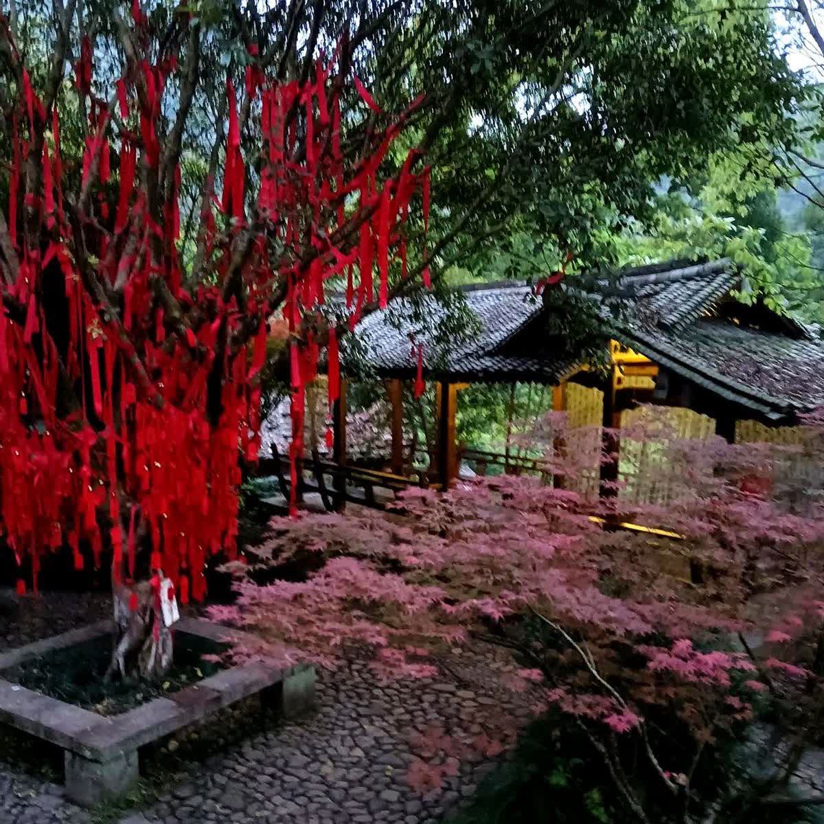 二婚真的好累，丧偶找了一个没有带孩子的男人，以为可以不用当后妈了。结果这