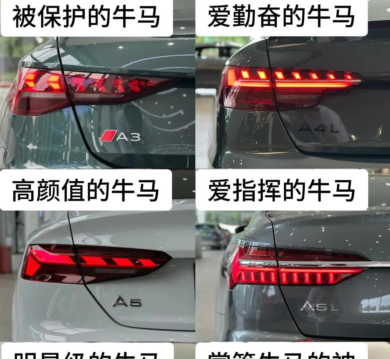 奥迪旗下不同车型，出门都被人如何看待的？我就想看看评论区有多少掌管牛马的