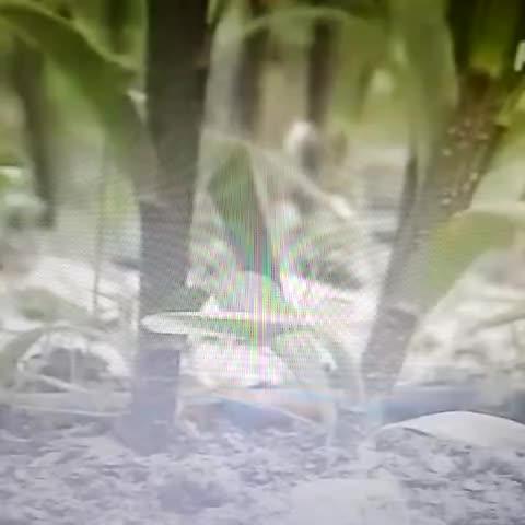 981750260322501056.jpg?id=0