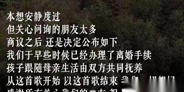 4.5个亿。咱普通人几辈子都挣不到的钱，是他欠下的债。所以，当54岁的李亚鹏
