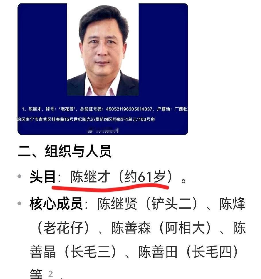 26把“伞”，能撑起多大的一片天？在广西北海陈继才的案子里，这个数字不是形容词，