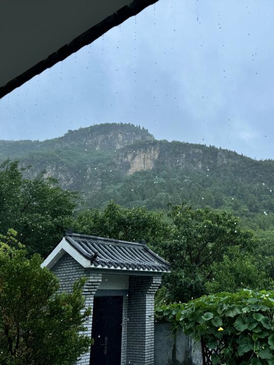 自然疗法：中医世家女分享三伏养阳小tips⛰️