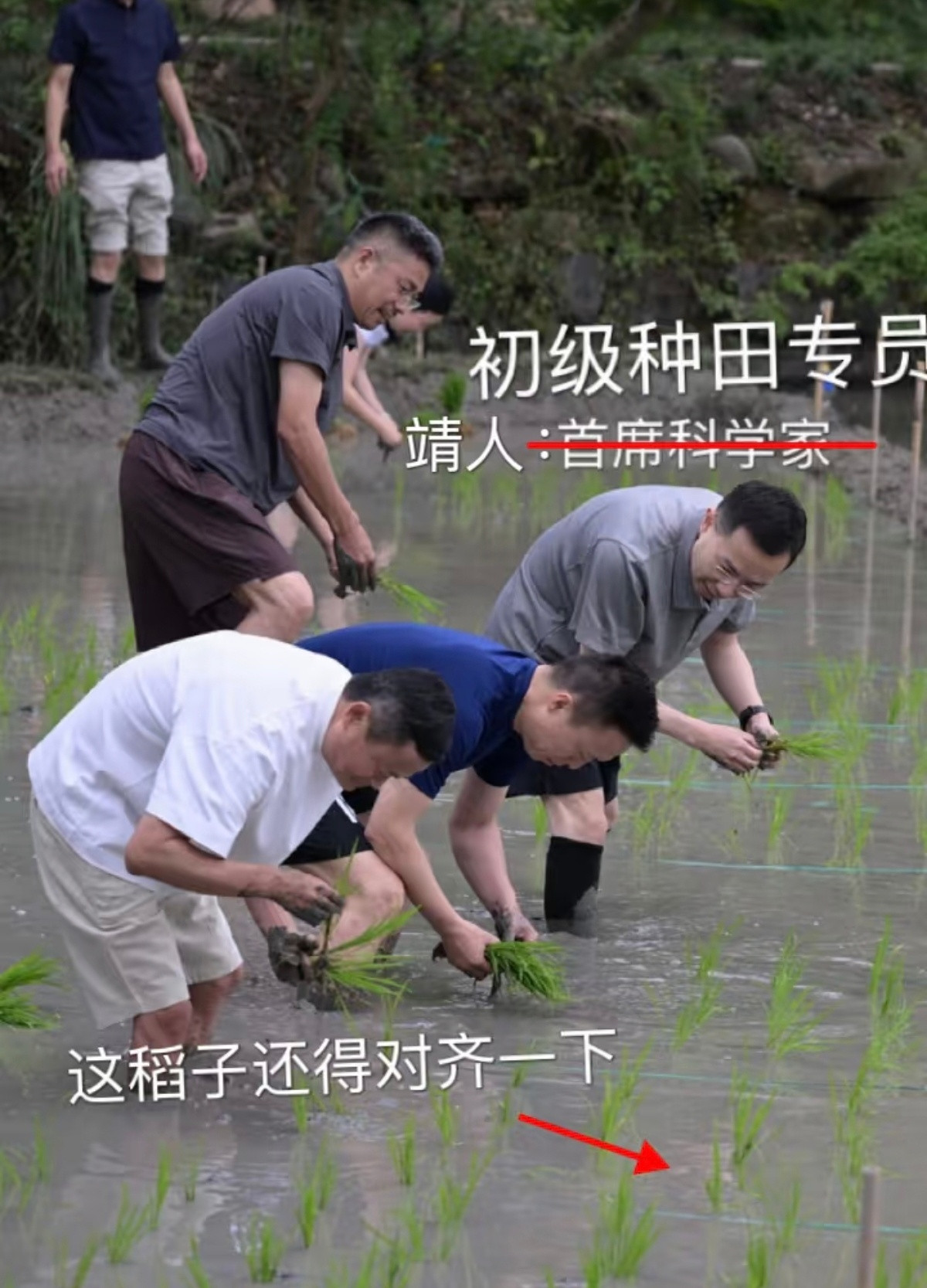 马云带着一群高管去插秧