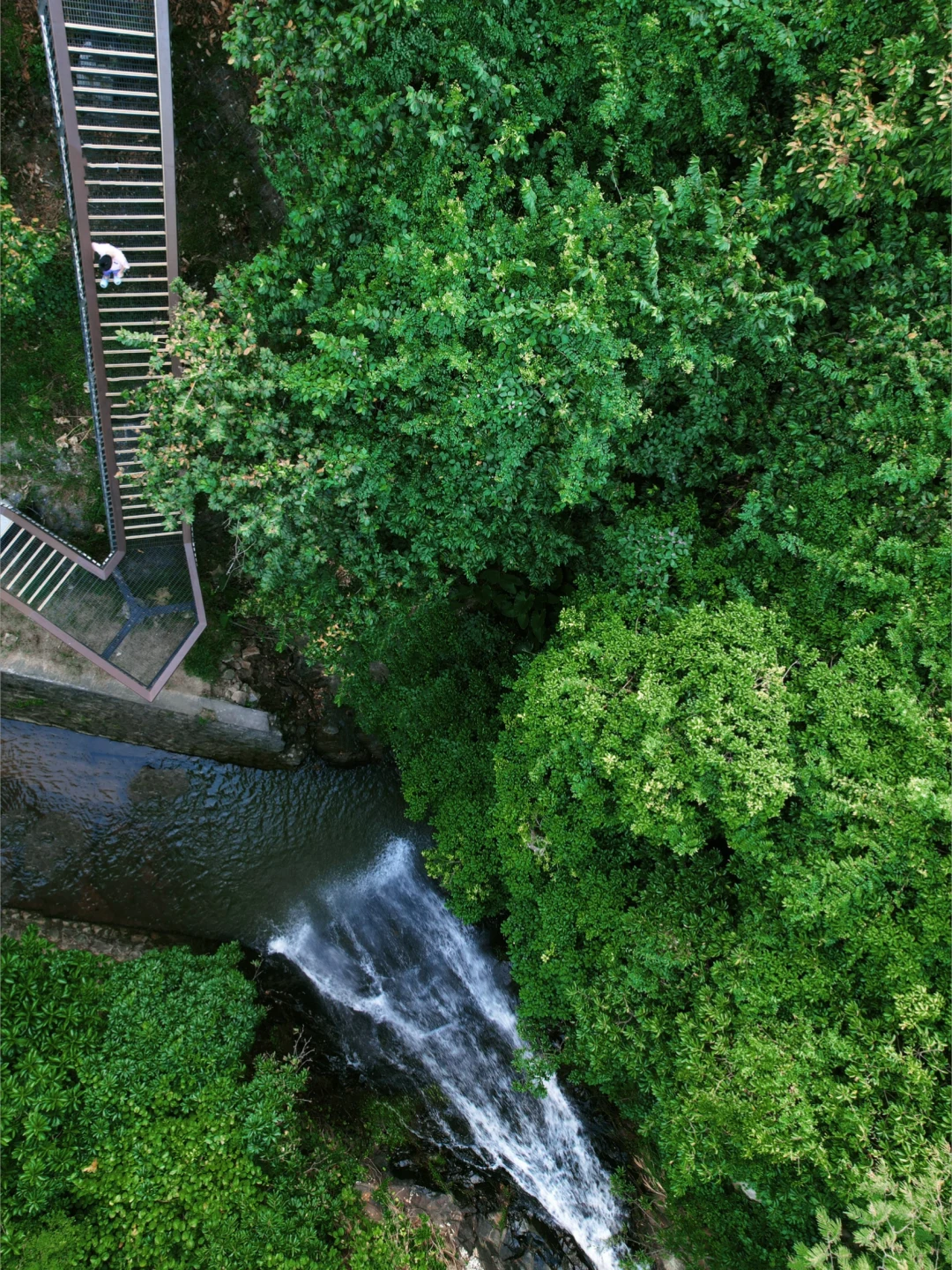 真的是今年走过最舒服的城市徒步线路了！