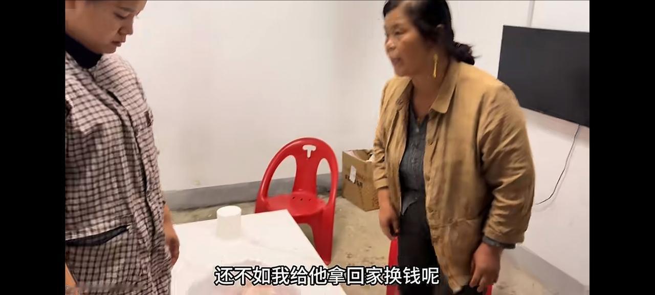 老壳子天天窥视着新院老壳子天天窥视着新院的一切，是不是吃饭了，是不是杀猪了，正