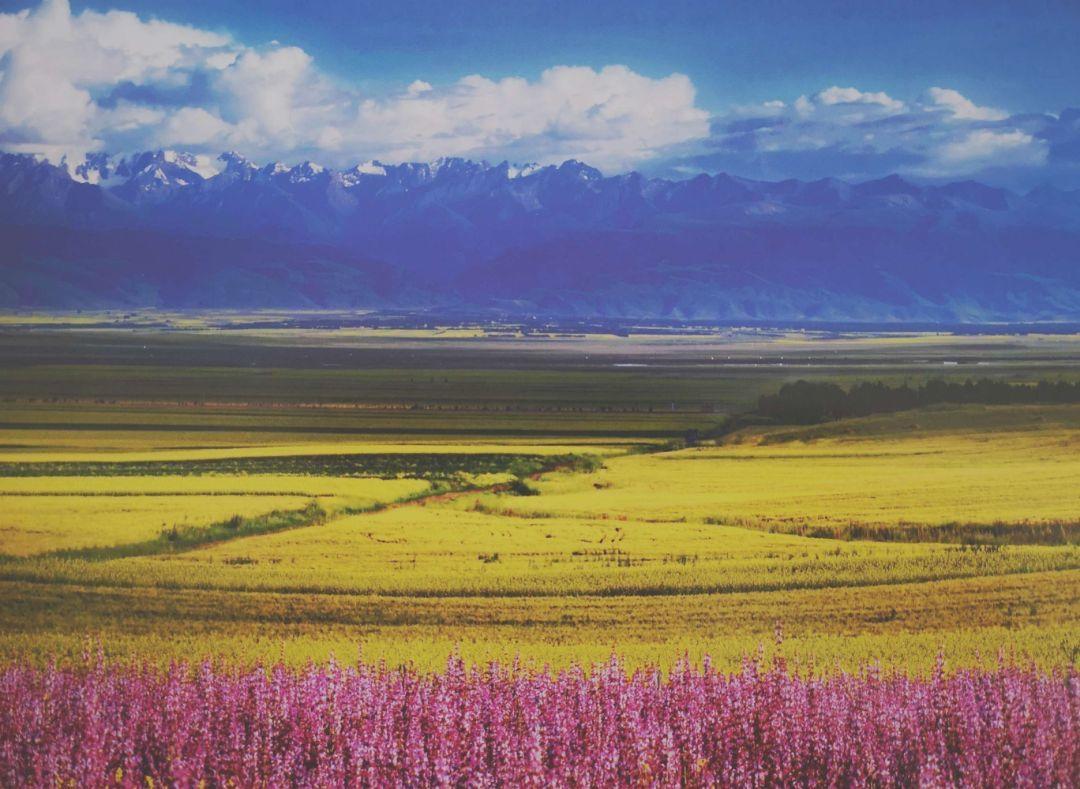 我昨天跟一个高一的学生家长聊天，他说他们家孩子这次的化学考试就考了30几分，原来