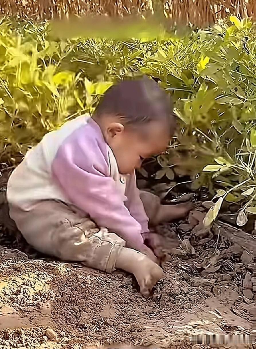 孩子在城里，洁净感贯穿日常，奈何三天两头生病。在老家，孩子不是挖土抓虾，就是摸