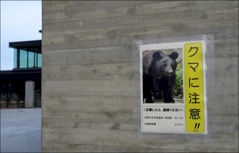 一天五人遭熊袭! 日本旅游胜地遭重创, 温泉酒店预订量暴跌